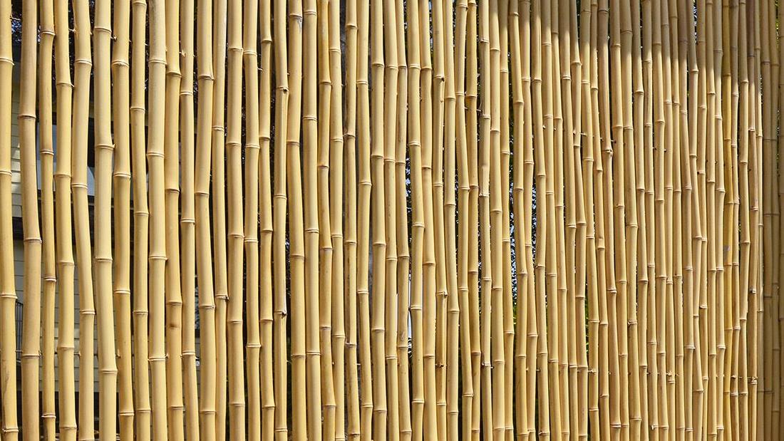 bamboo fence / orientale / decomax / kerama /